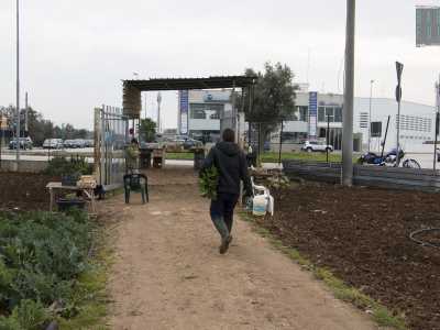 Siamo dunque arrivati nella zona da visitare. Ma prima di inoltrarci pi� avanti incontriamo il 36enne Giampiero, contadino che ogni giorno vende per strada frutta e verdura fresche coltivate in un terreno adiacente